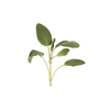 icon herba mini