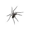 icon arachnida mini