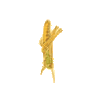 icon Insecta&nbsp;I
