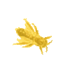icon Insecta&nbsp;II