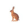 icon mammalia mini