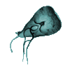icon protozoa mini