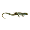 icon reptilia mini