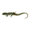 icon reptilia mini